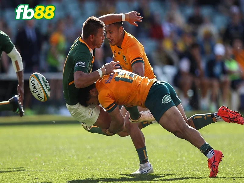 Tổng hợp hình thức cá cược bóng bầu dục FB88