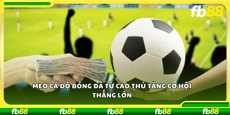 Mẹo cá độ bóng đá từ cao thủ tăng cơ hội thắng lớn