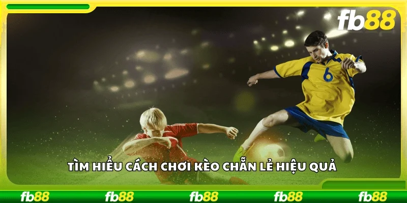 Tìm hiểu cách chơi kèo chẵn lẻ hiệu quả